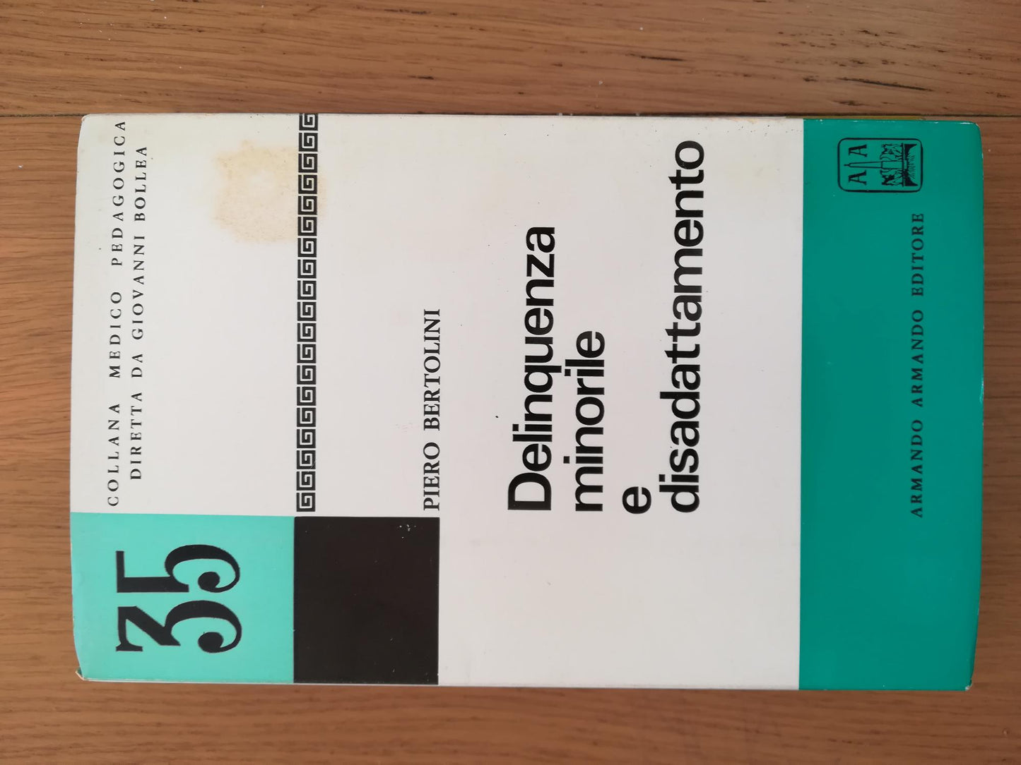 Delinquenza minorile e disadattamento - copertina