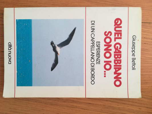 Quel gabbiano sono io.. Esperienze di un cappellano di bordo - copertina