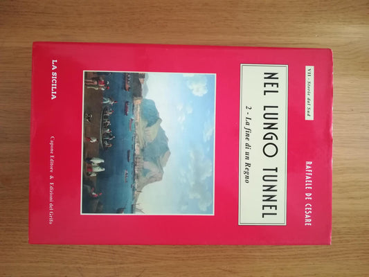 Nel lungo tunnel - copertina