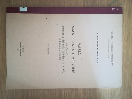 Maria immacolata e vergine - copertina