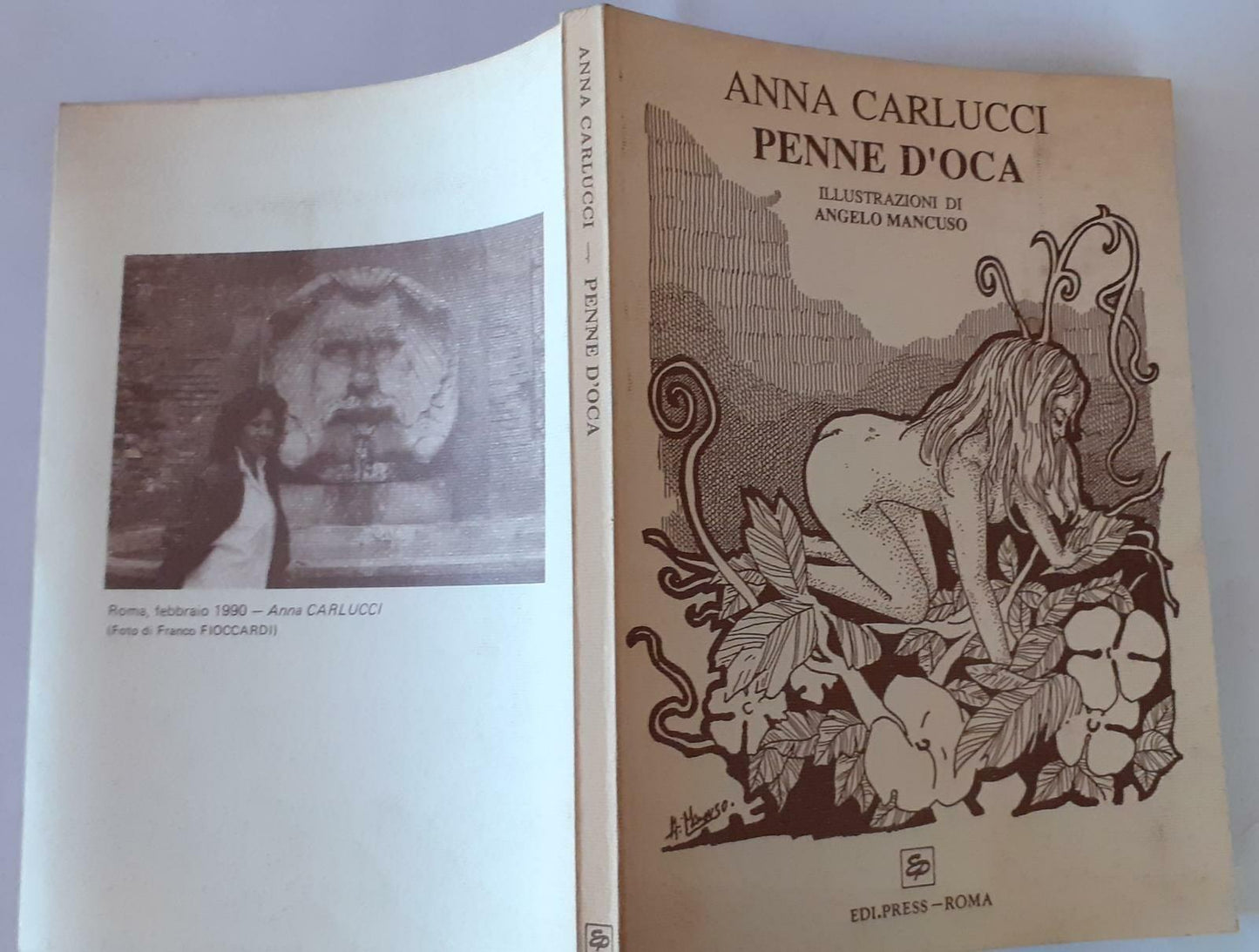 Penne d'oca - copertina