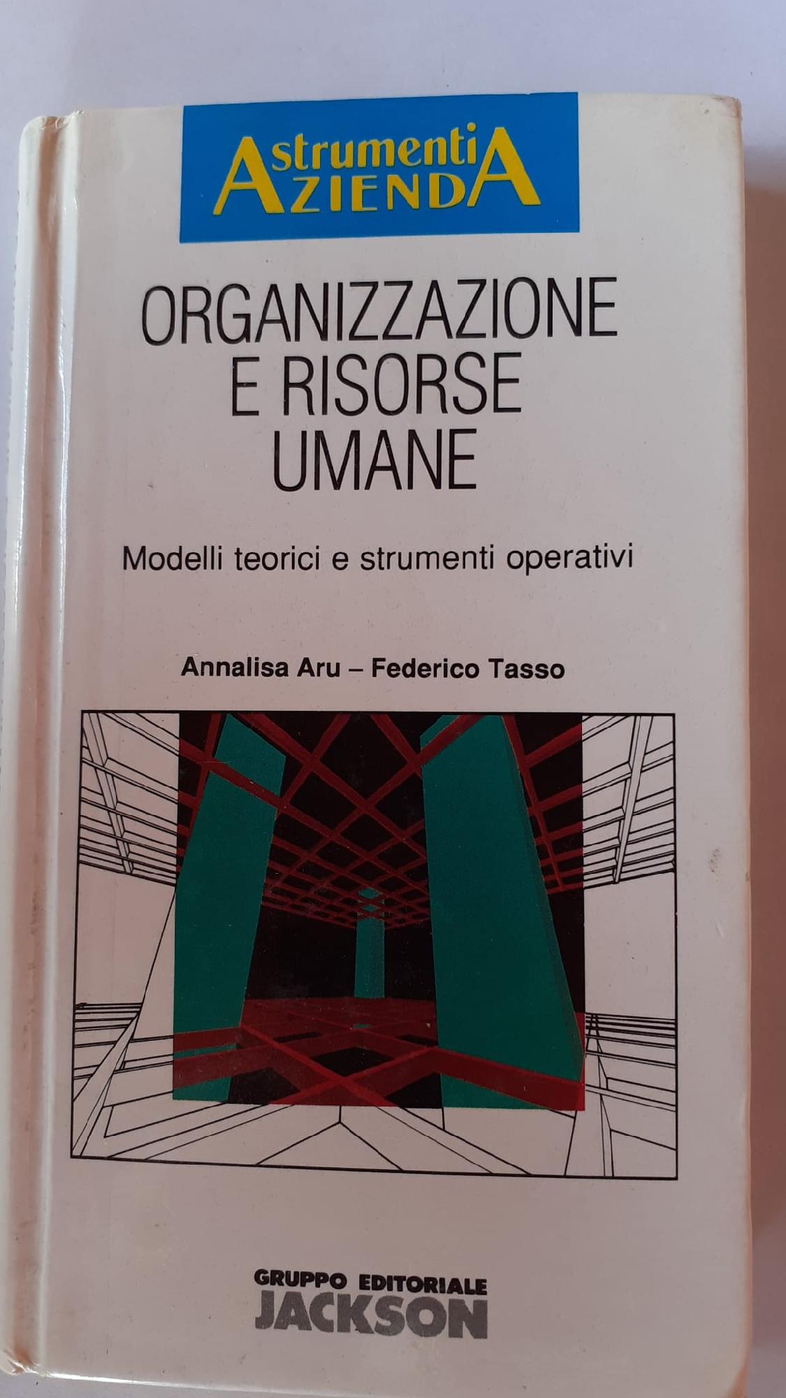 Organizzazione e risorse umane : modelli teorici e strumenti operativi - copertina