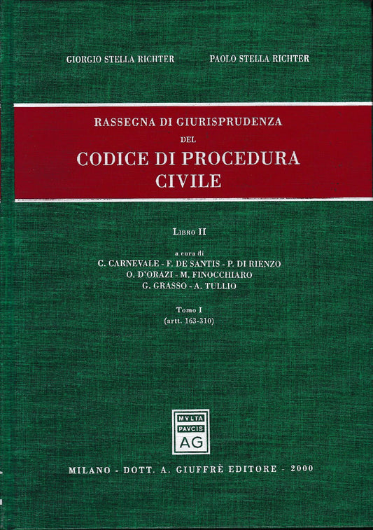 Rassegna di giurisprudenza del Codice di Procedura Civile. Artt. 163-310 (libro 2/tomo 1) - copertina