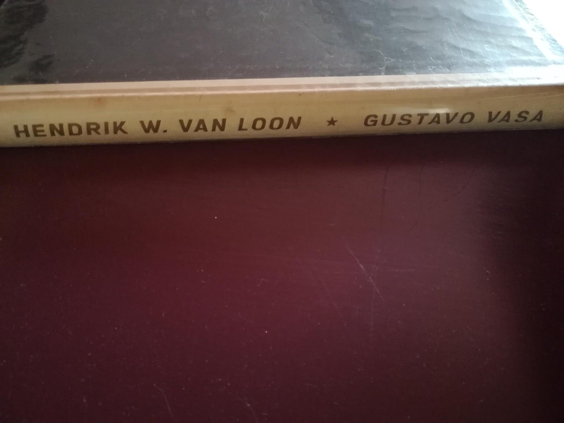 Le avventure di Gustavo Vasa fuggiasco del Re - copertina