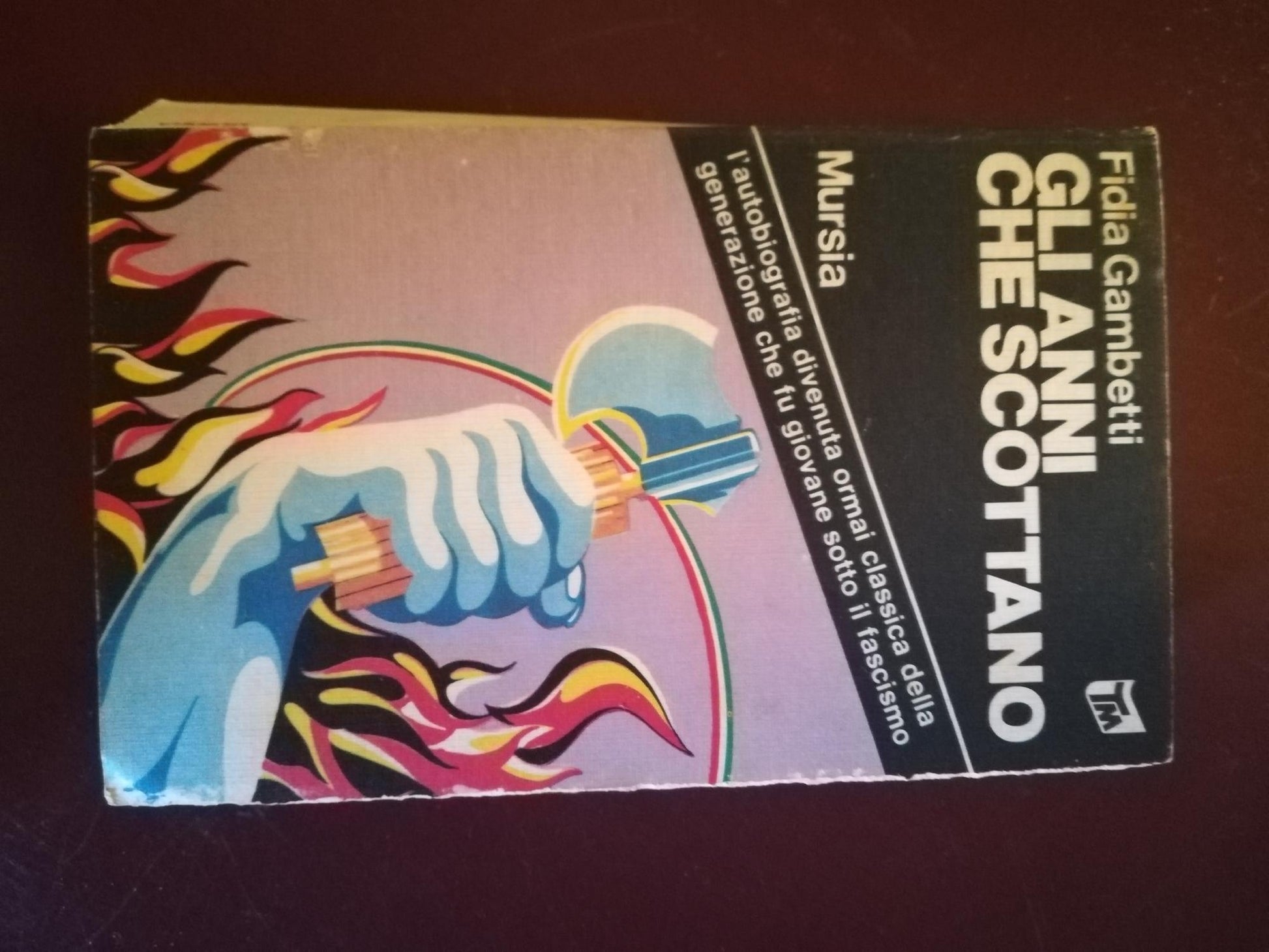 Gli anni che scottano - copertina