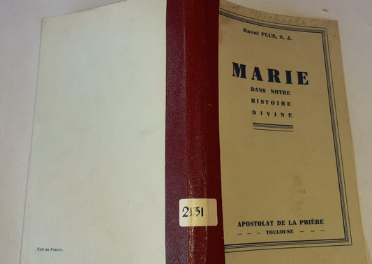 Marie dans notre histoire divine - copertina