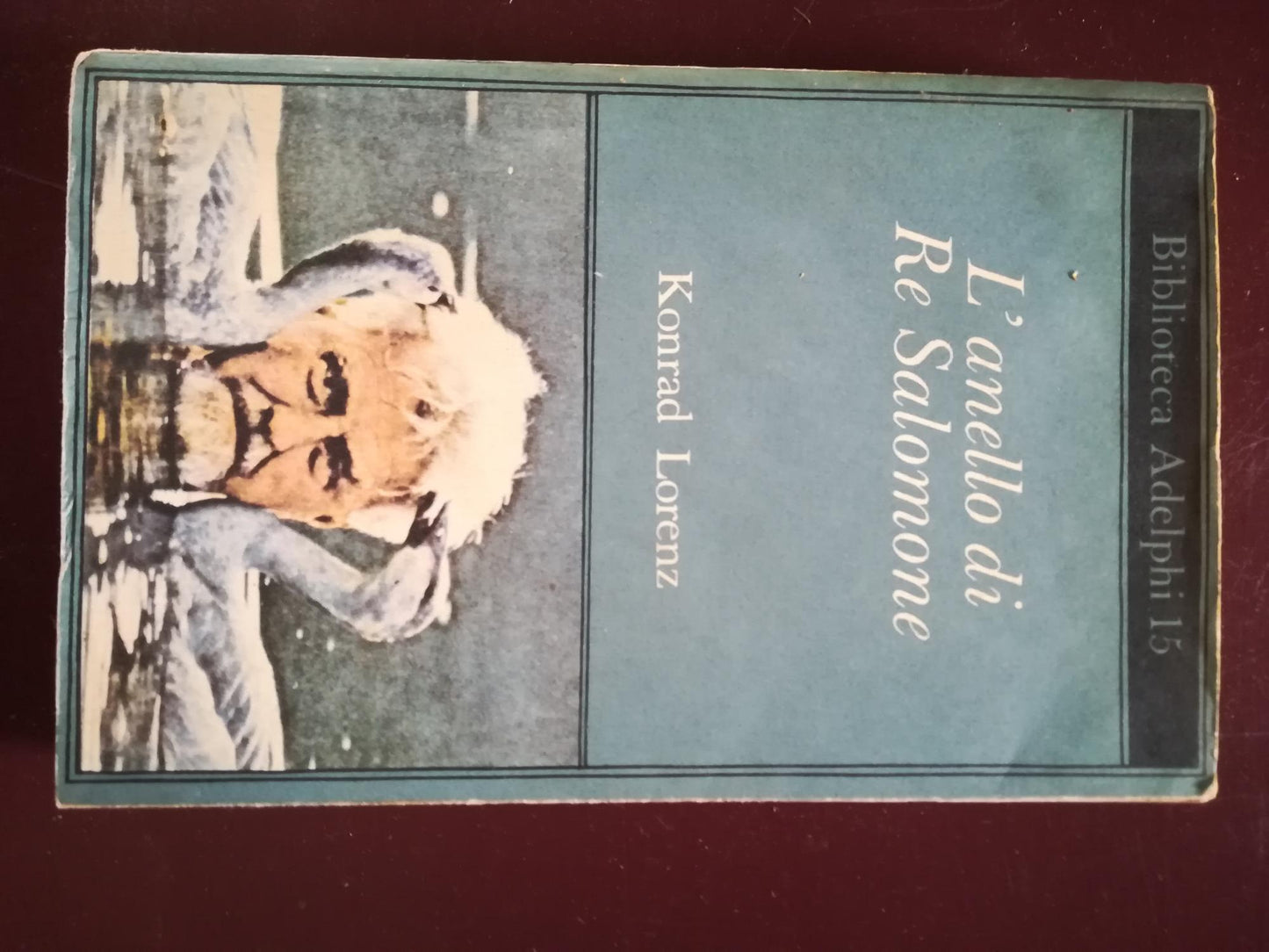 L'anello di Re Salomone - copertina