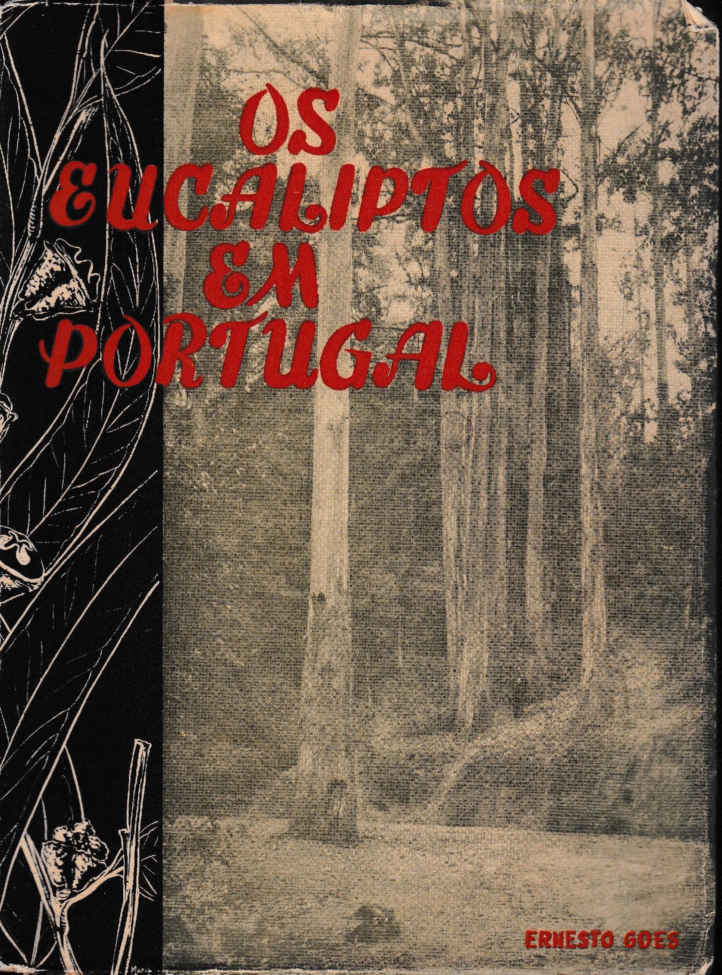 Os eucaliptos em Portugal. Identificacao e monografia de 90 espécies,  I° volume. - copertina