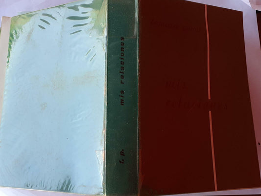 Lettere Pastorali di Mons. Ignazio-Maria Dub Dubowski Vescovo di Luck e Zytomir - copertina