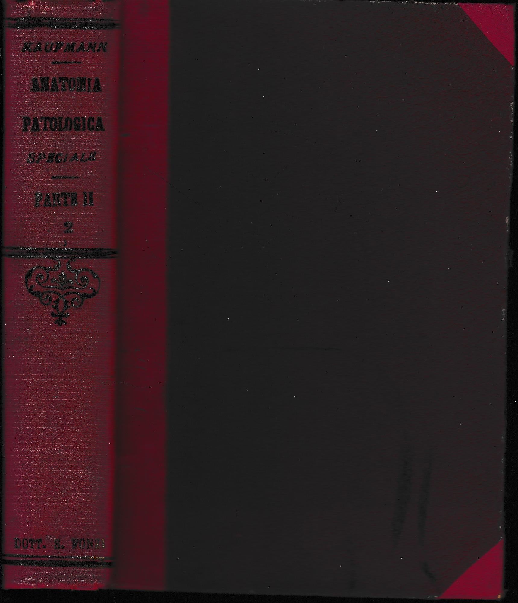 Anatomia patologica speciale, parte II, tomo 2. Malattie delle Meningi - copertina