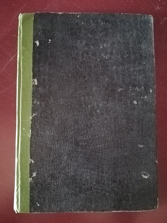 Le velocità critiche degli alberi - copertina