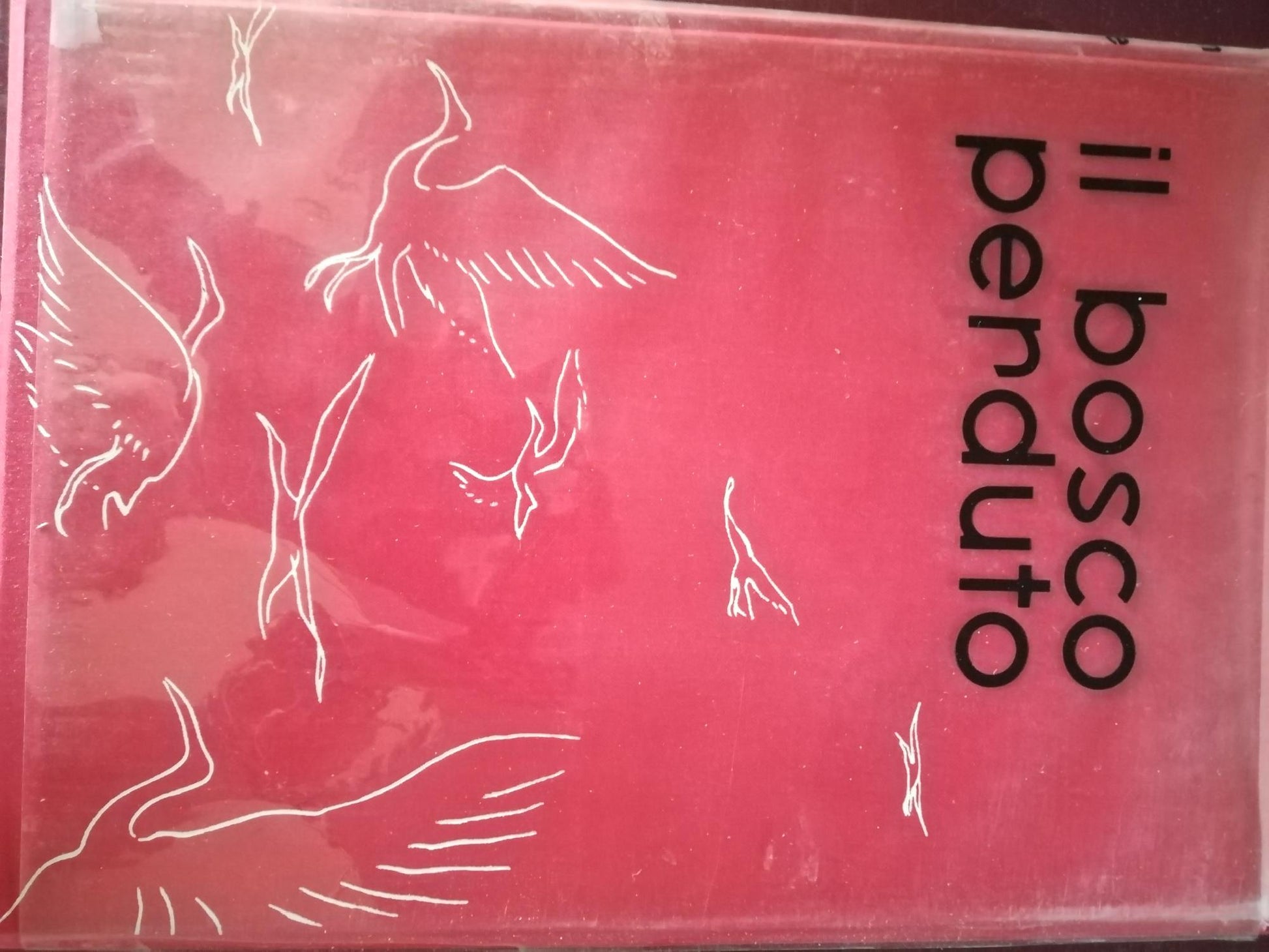 Il bosco perduto - copertina