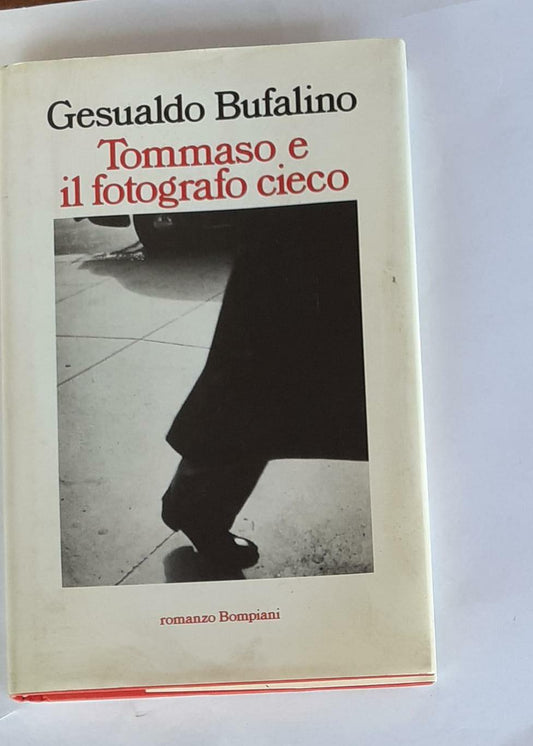 Tommaso e il fotografo cieco, ovvero Il patatrac - copertina