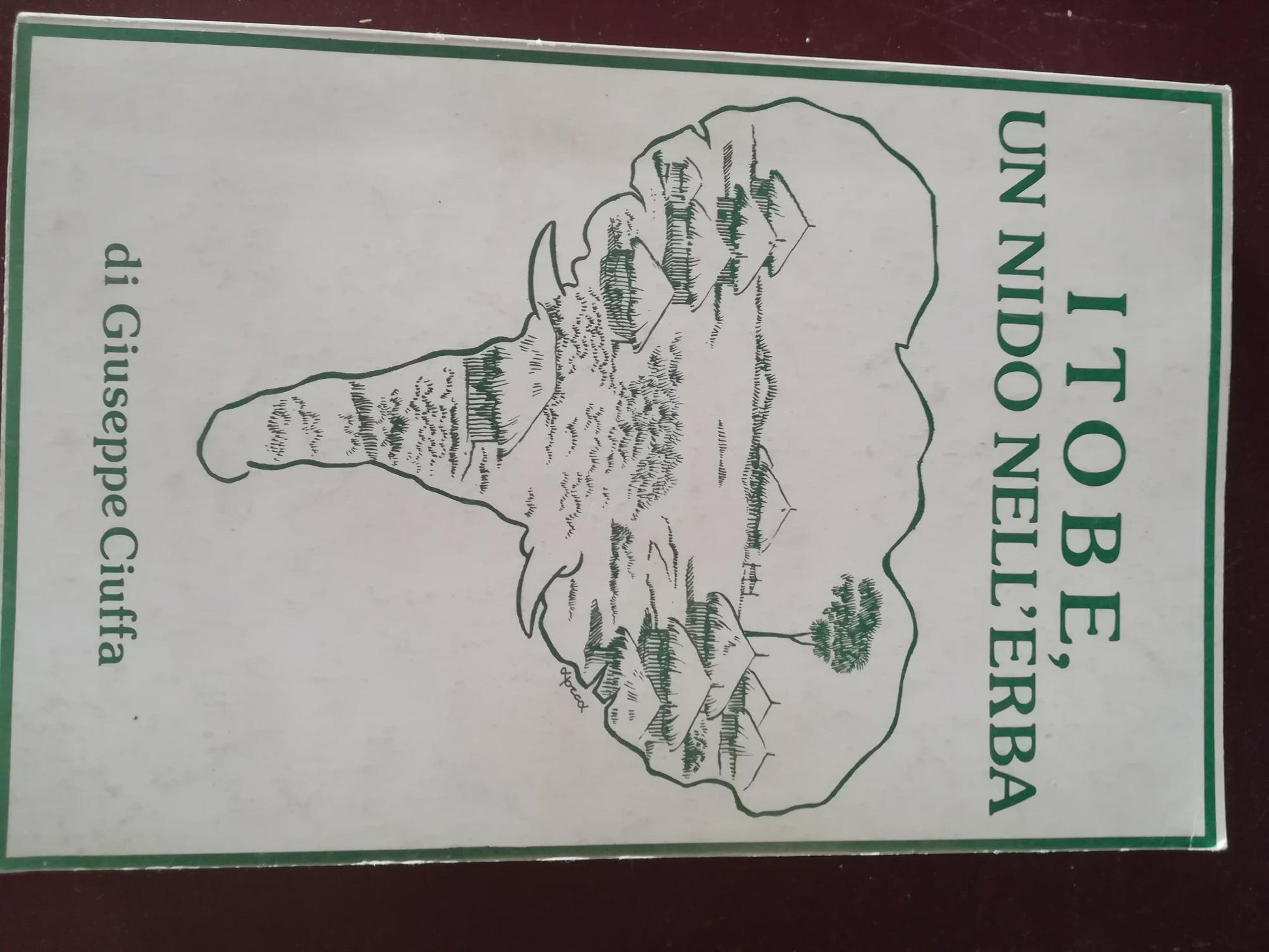 ITOBE un nido nell'erba - copertina