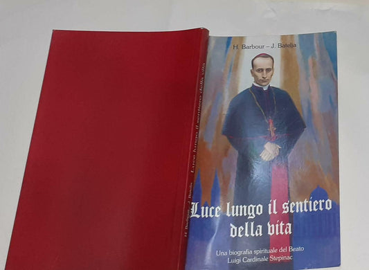 Luce lungo il sentiero della vita : una biografia spirituale del Beato Luigi Cardinale Stepinac - copertina