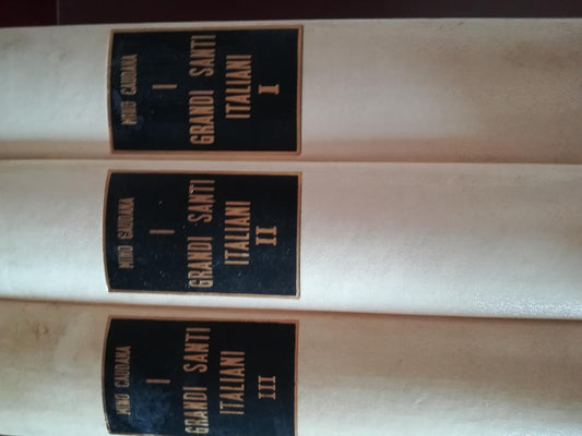 I grandi Santi italiani - copertina