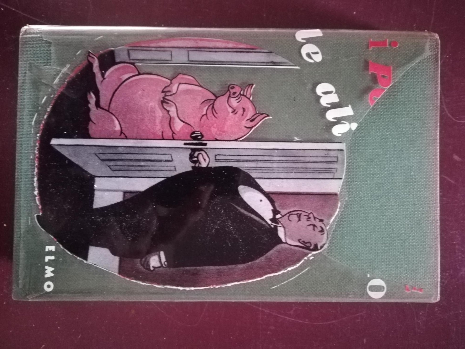 I porci hanno le ali - copertina