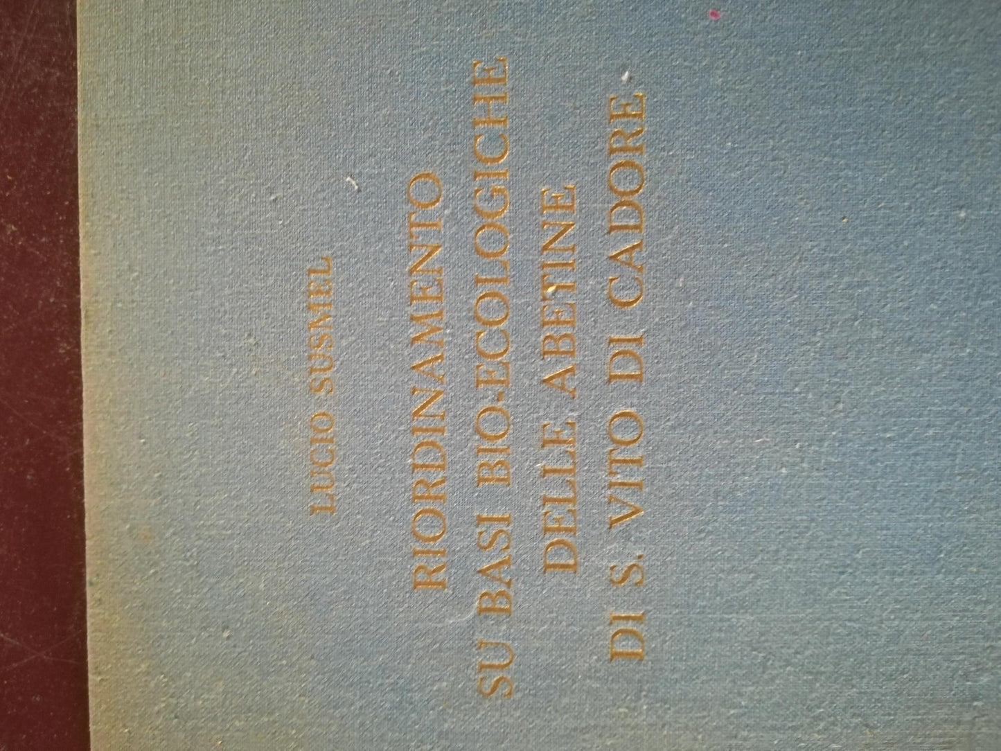 Riordinamento su basi bio - ecologiche delle abetine di S. Vito di Cadore - copertina
