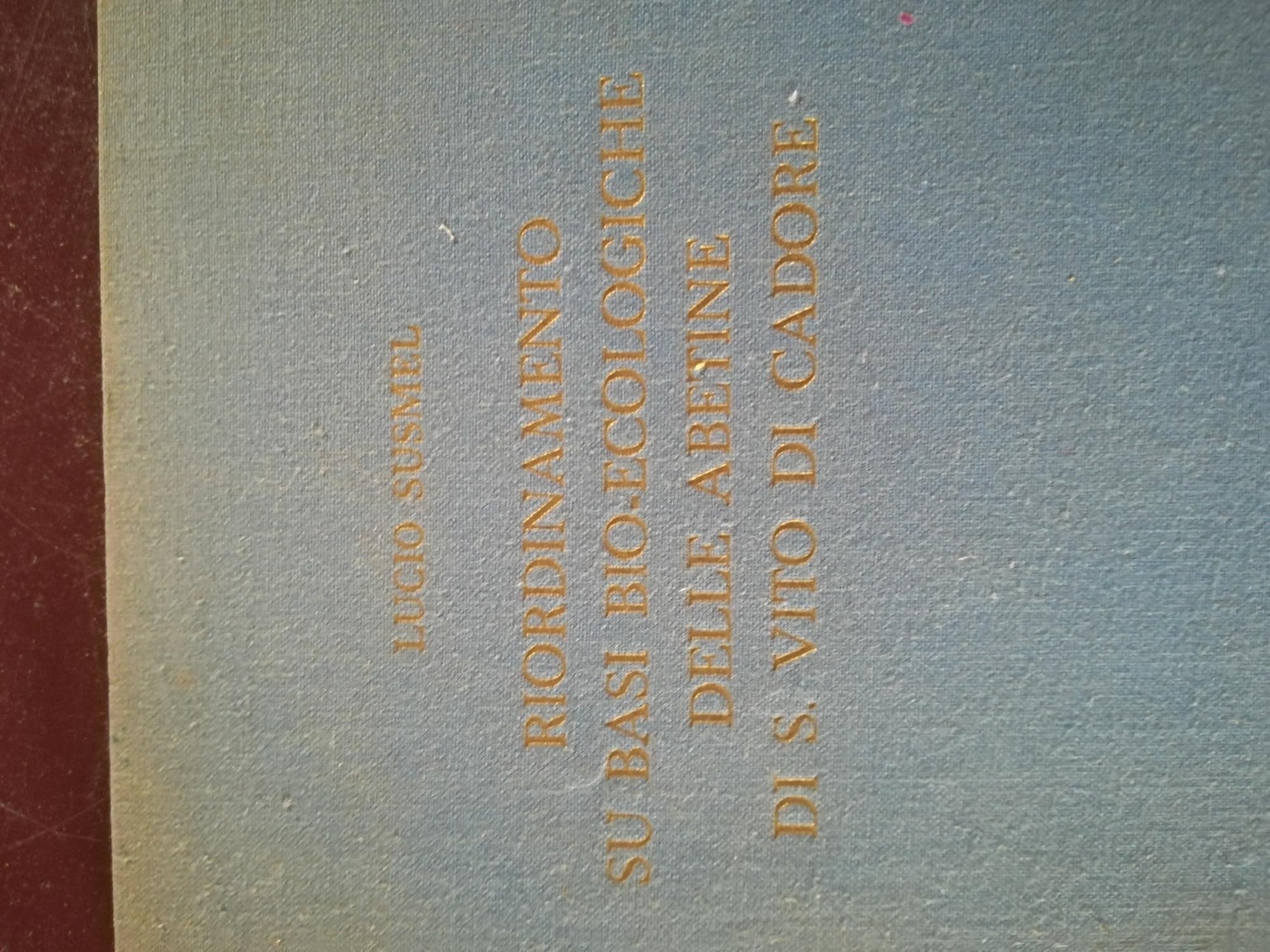 Riordinamento su basi bio - ecologiche delle abetine di S. Vito di Cadore - copertina