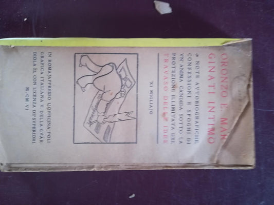 Note autobiografiche confessioni e sfoghi di un'anima candida sotto la protezione illuminata del Travaso delle idee - copertina