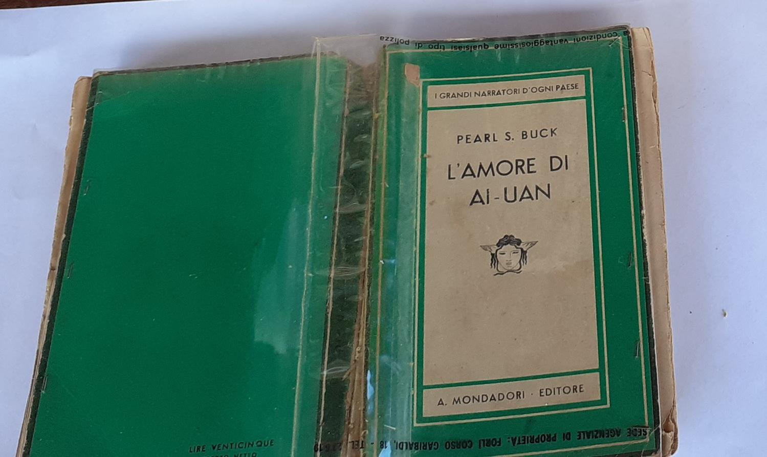 L'amore di AI -Uan - copertina