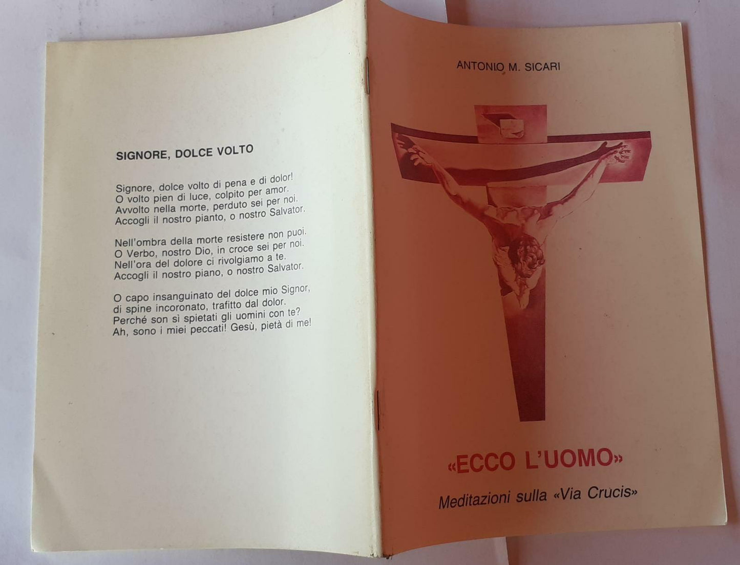 Ecco l'uomo. Meditazioni sulla Via Crucis - copertina