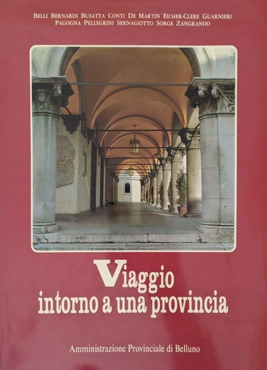 Viaggio intorno a una provincia - copertina