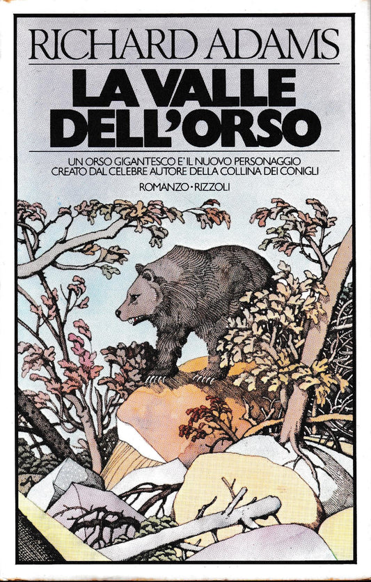 La valle dell'orso - copertina
