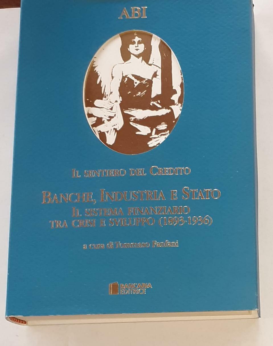 Il sentiero del credito. Banche, industria e Stato. Il sistema finanziario tra crisi e sviluppo (1893-1936) - copertina