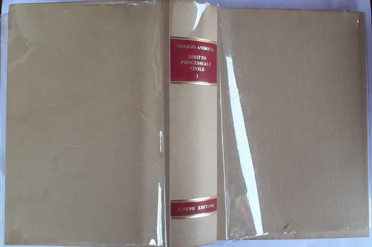 Diritto processuale civile. Volume primo - copertina