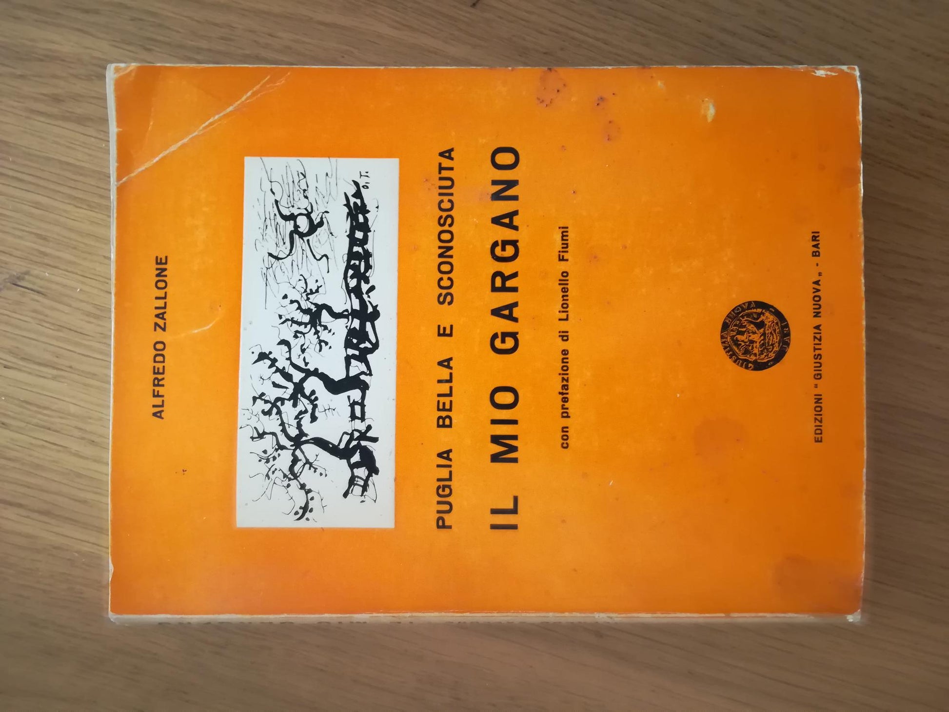 Puglia bella e sconosciuta il mio Gargano - copertina