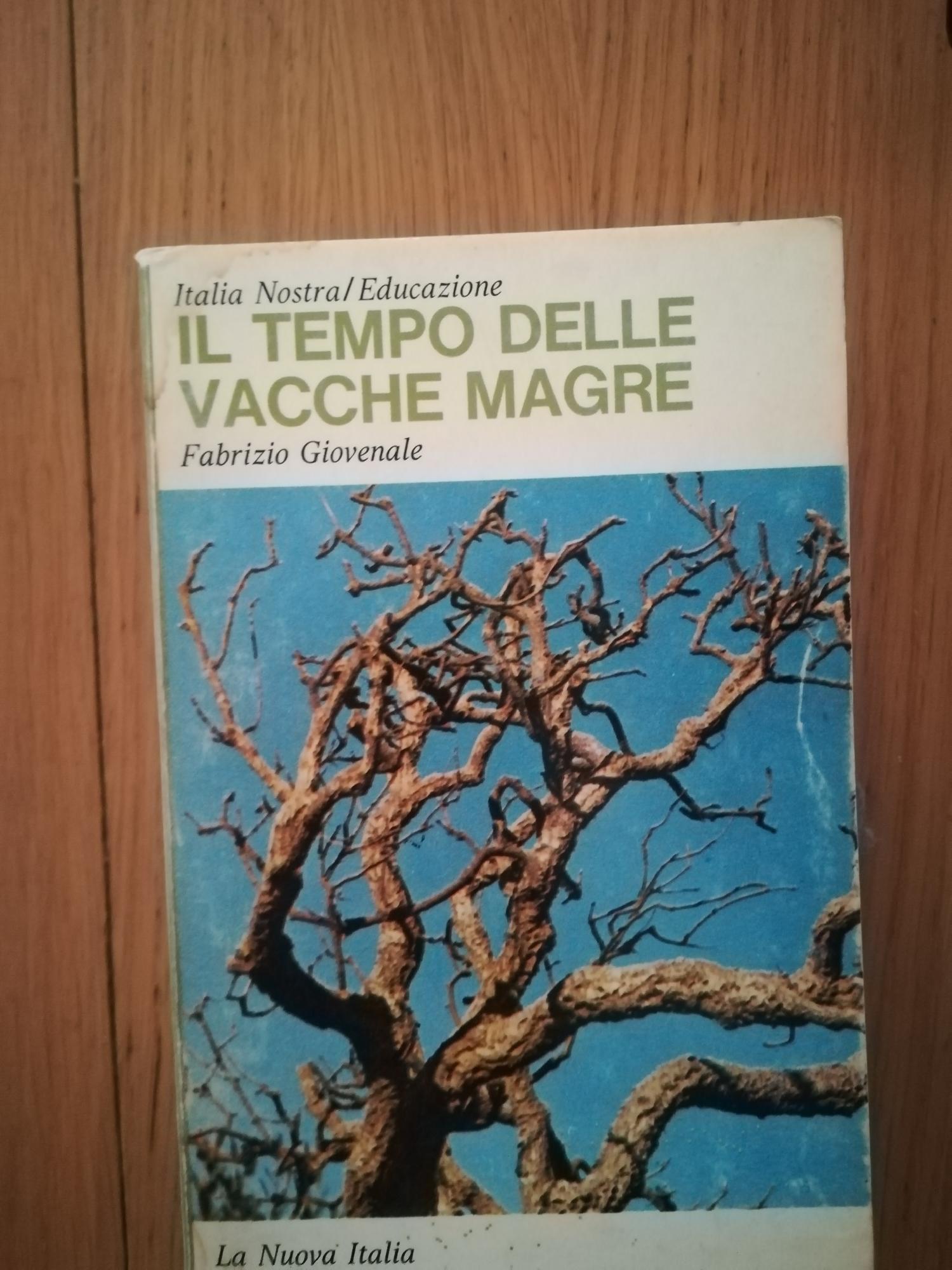 Il tempo delle vacche magre - copertina