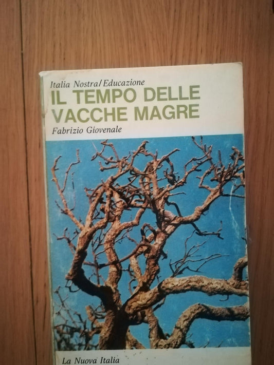 Il tempo delle vacche magre - copertina