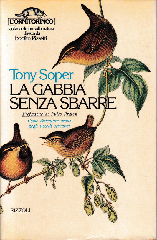La gabbia senza sbarre - copertina