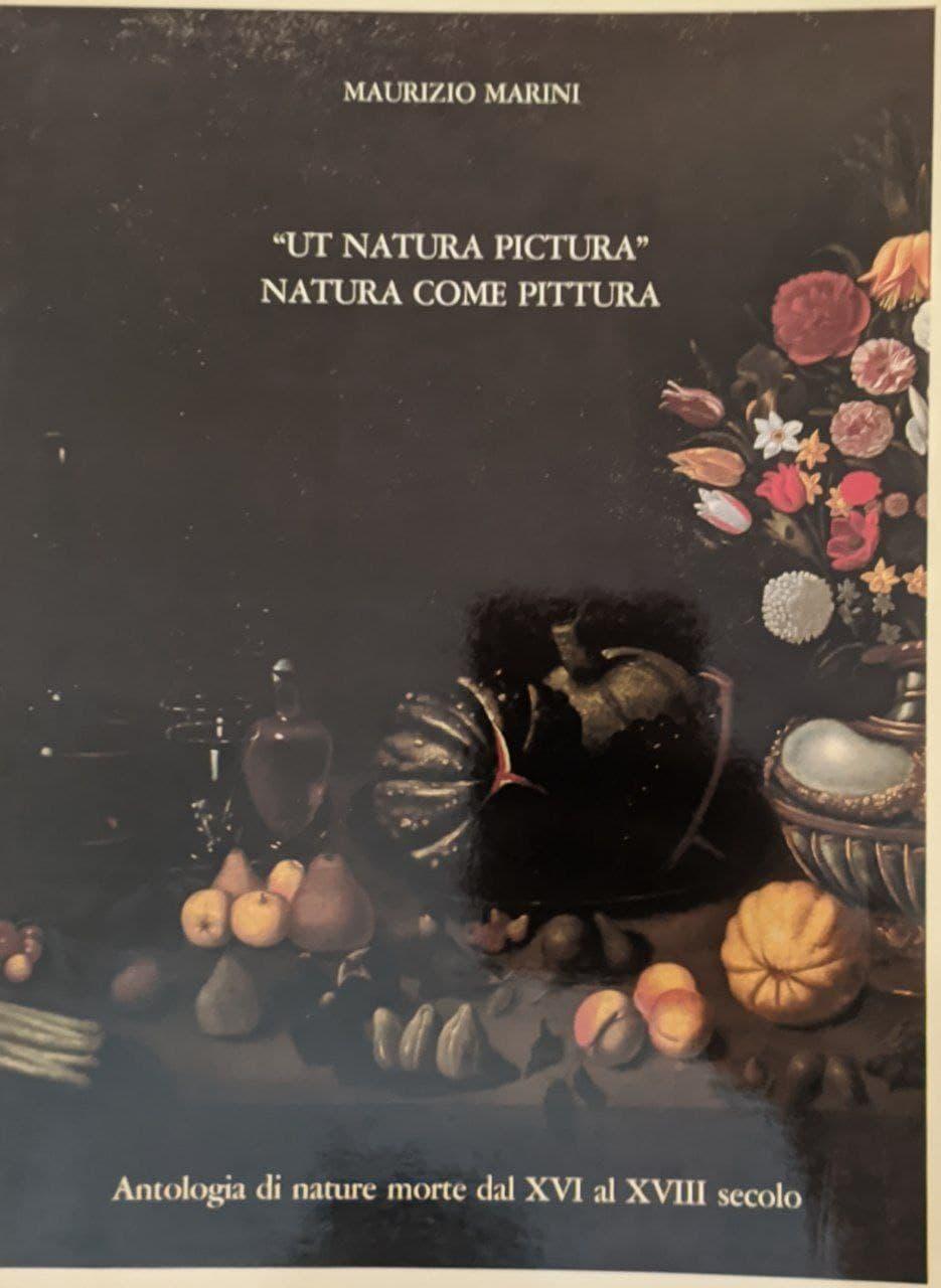 Ut natura pictura. Natura come pittura - copertina