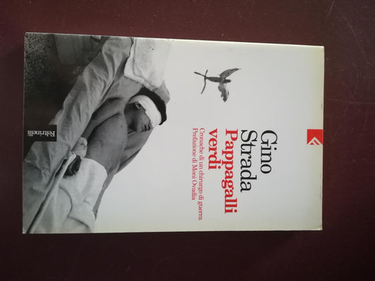 Pappagalli verdi. Cronache di un chirurgo di guerra - copertina