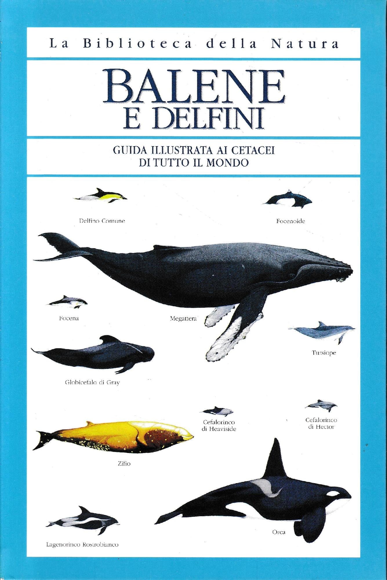 Balene e delfini - copertina