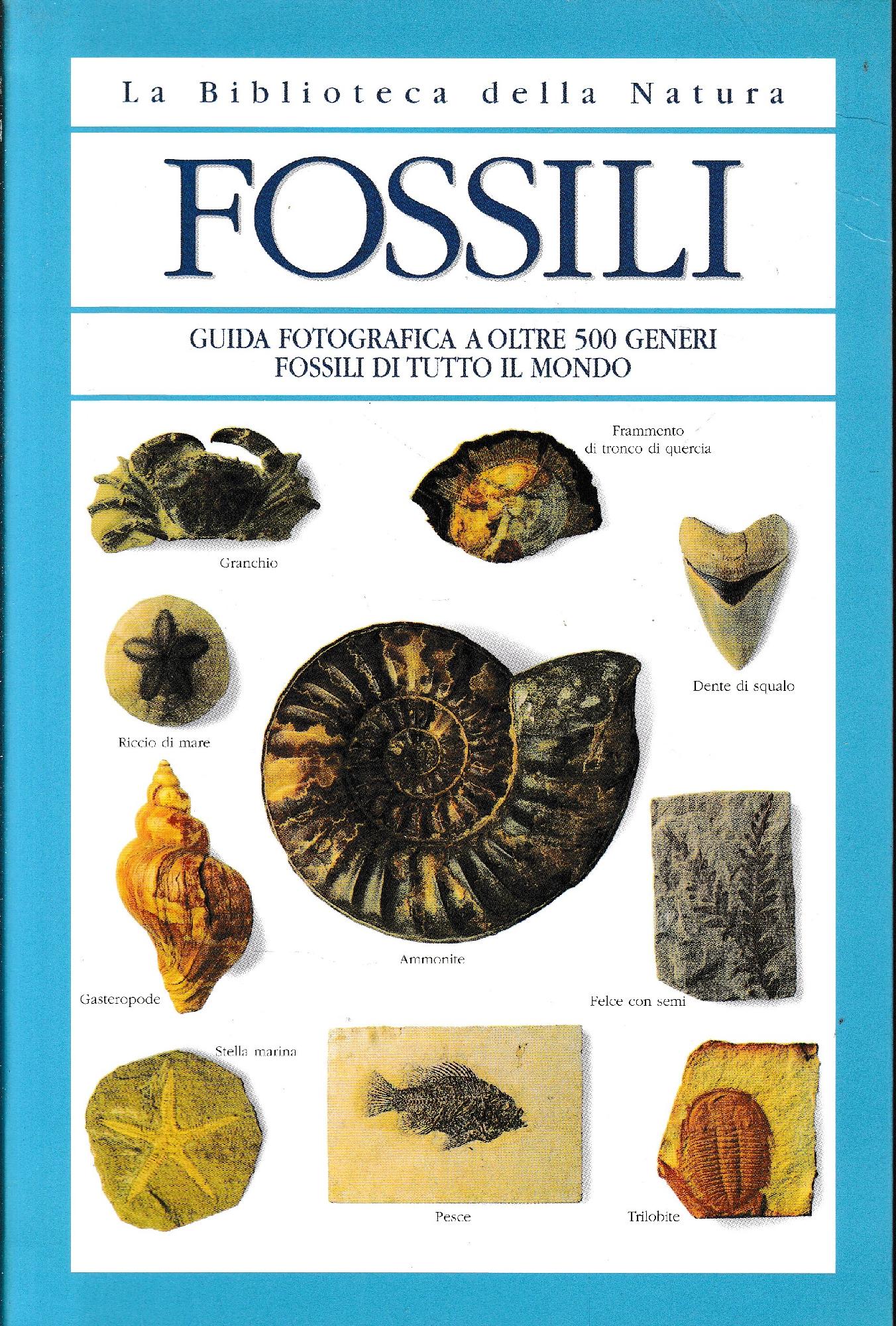 Fossili - copertina
