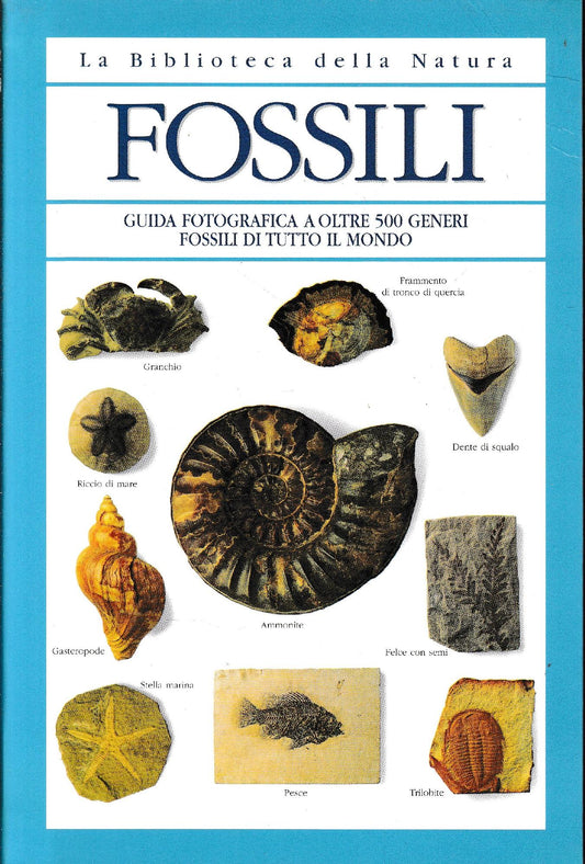 Fossili - copertina