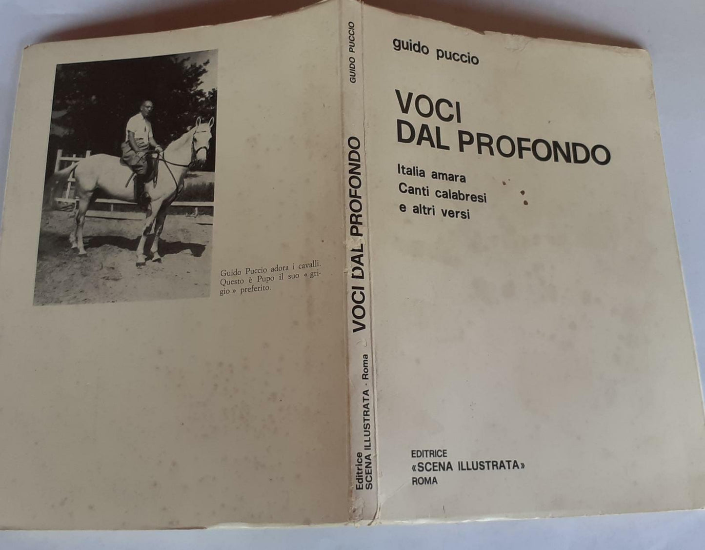 Voci dal profondo. Italia amara Canti calabresi e altri versi - copertina