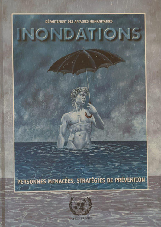 Inondations. Personnes menacées - Stratégies de prévention - copertina