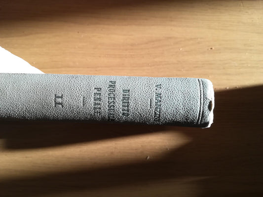 DIRITTO PROCESSUALE PENALE II - copertina