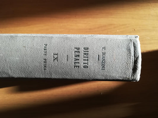 DIRITTO PENALE IX - copertina