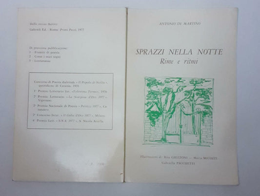 Sprazzi nella notte rime e ritmi - copertina