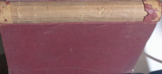 Intorno al mondo. Viaggio da ragazzi - copertina