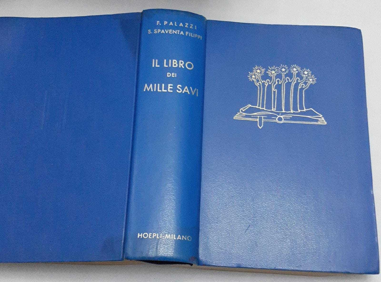 Il libro dei mille Savi. Massime, pensieri, aforismi, paradossi di tutti i tempi e di tutti i passi - copertina