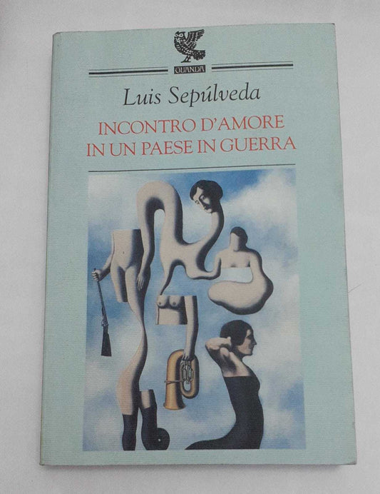Incontro d'amore in un paese in guerra - copertina