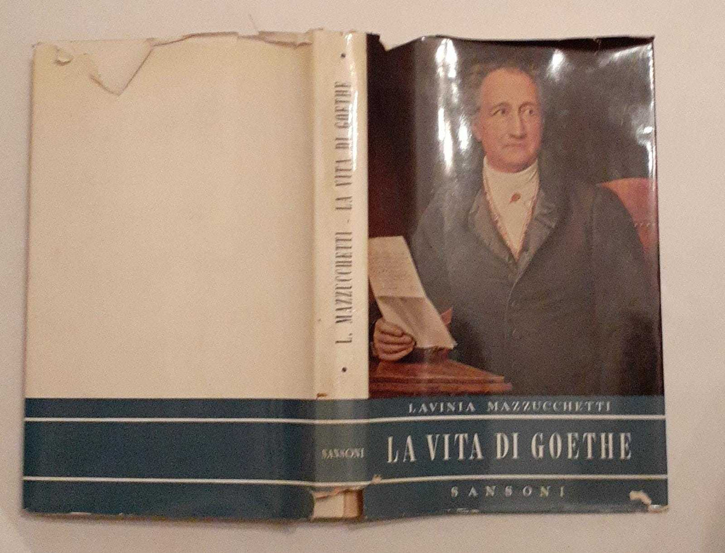 La vita di Goethe - copertina