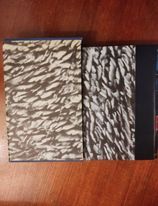 Viaggiatori italiani - copertina