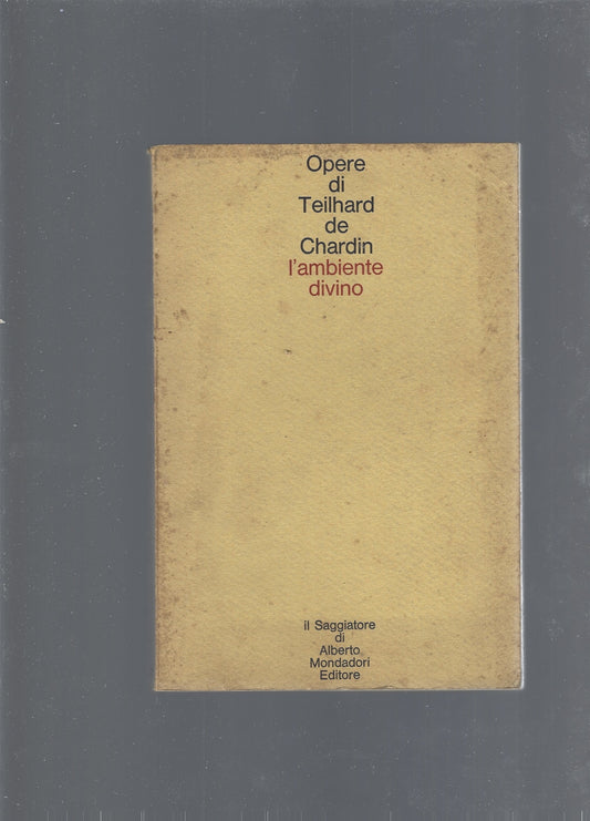 L'ambiente divino - copertina